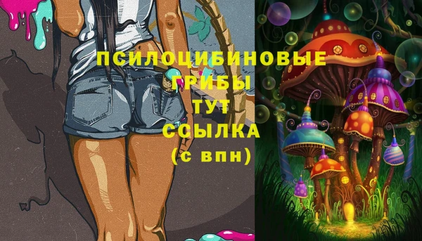 mdpv Волоколамск